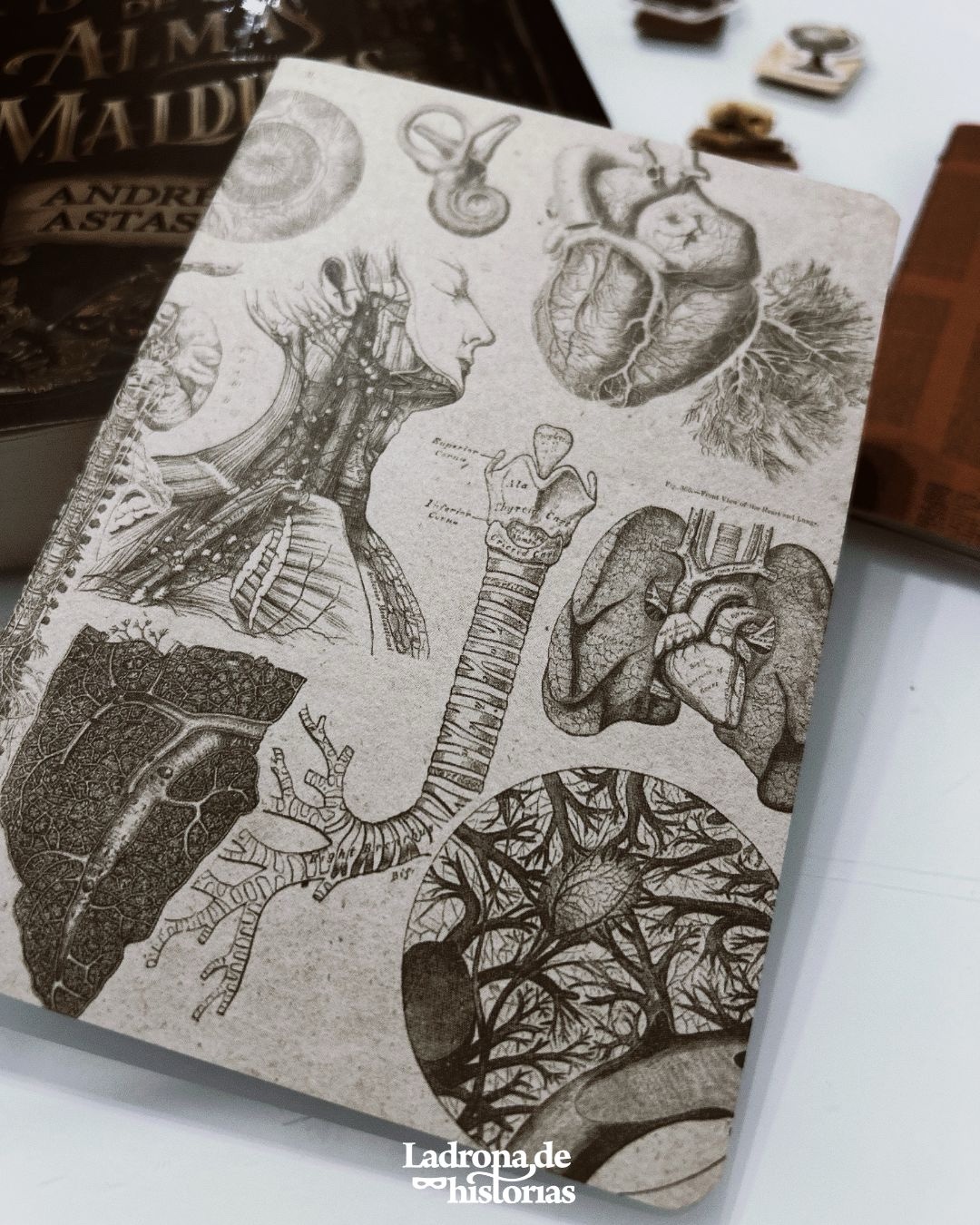 Caja Literaria La sociedad de las almas malditas - Imagen 2