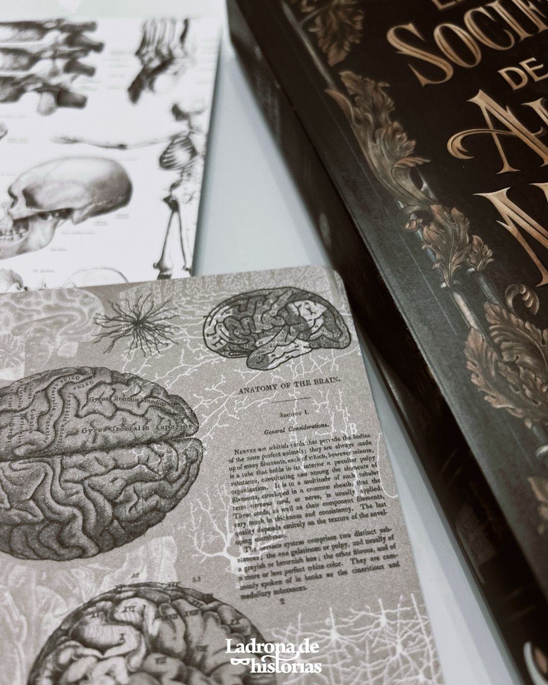 Caja Literaria La sociedad de las almas malditas - Imagen 4