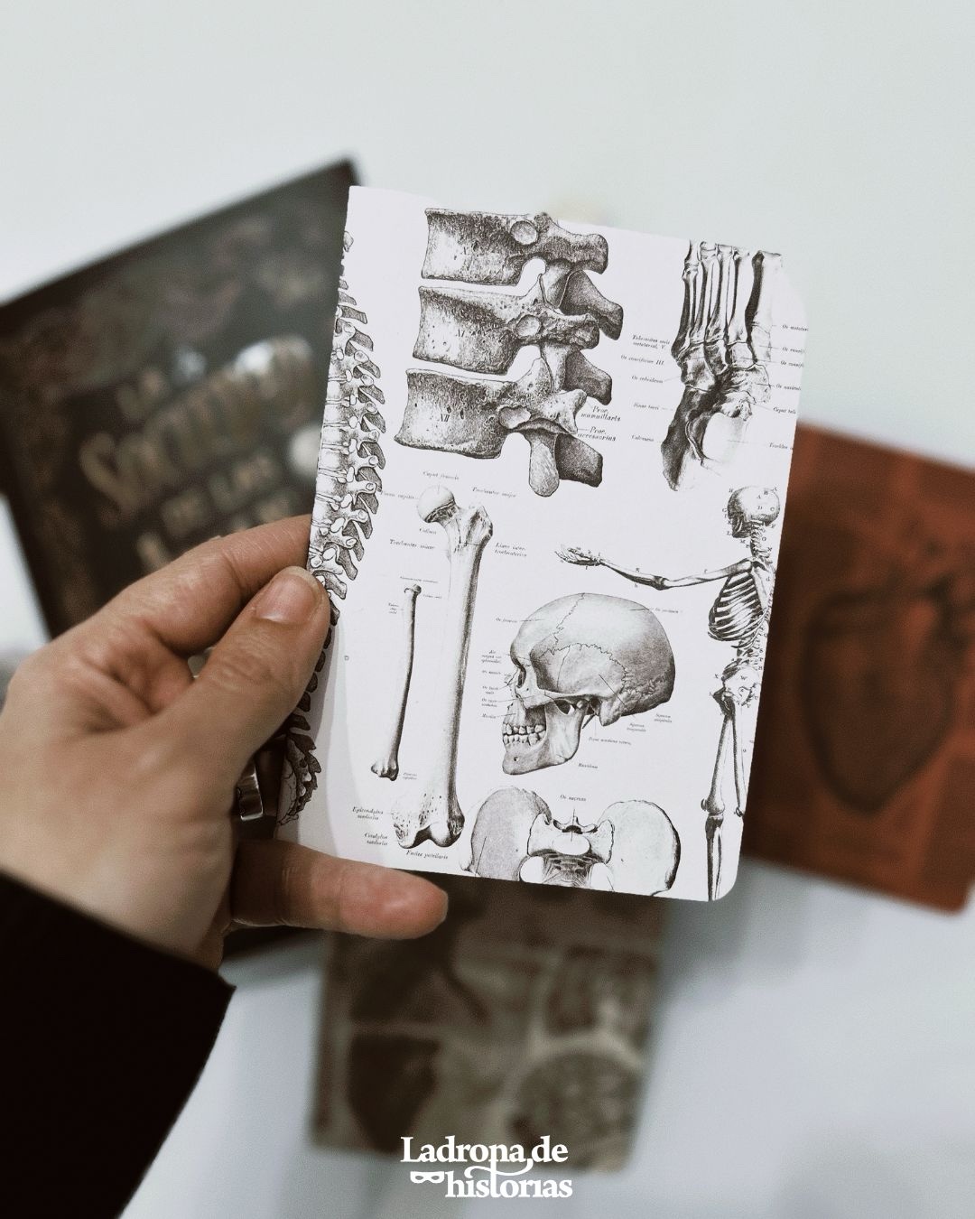 Caja Literaria La sociedad de las almas malditas - Imagen 5