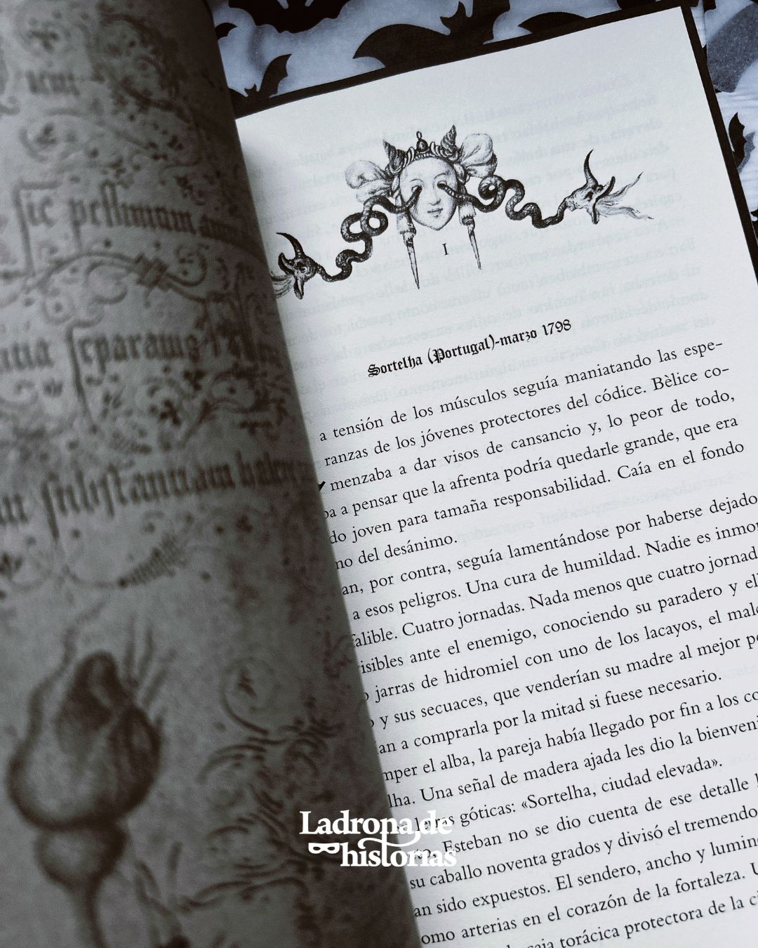 Caja Literaria El alimento de las cicatrices - Imagen 7