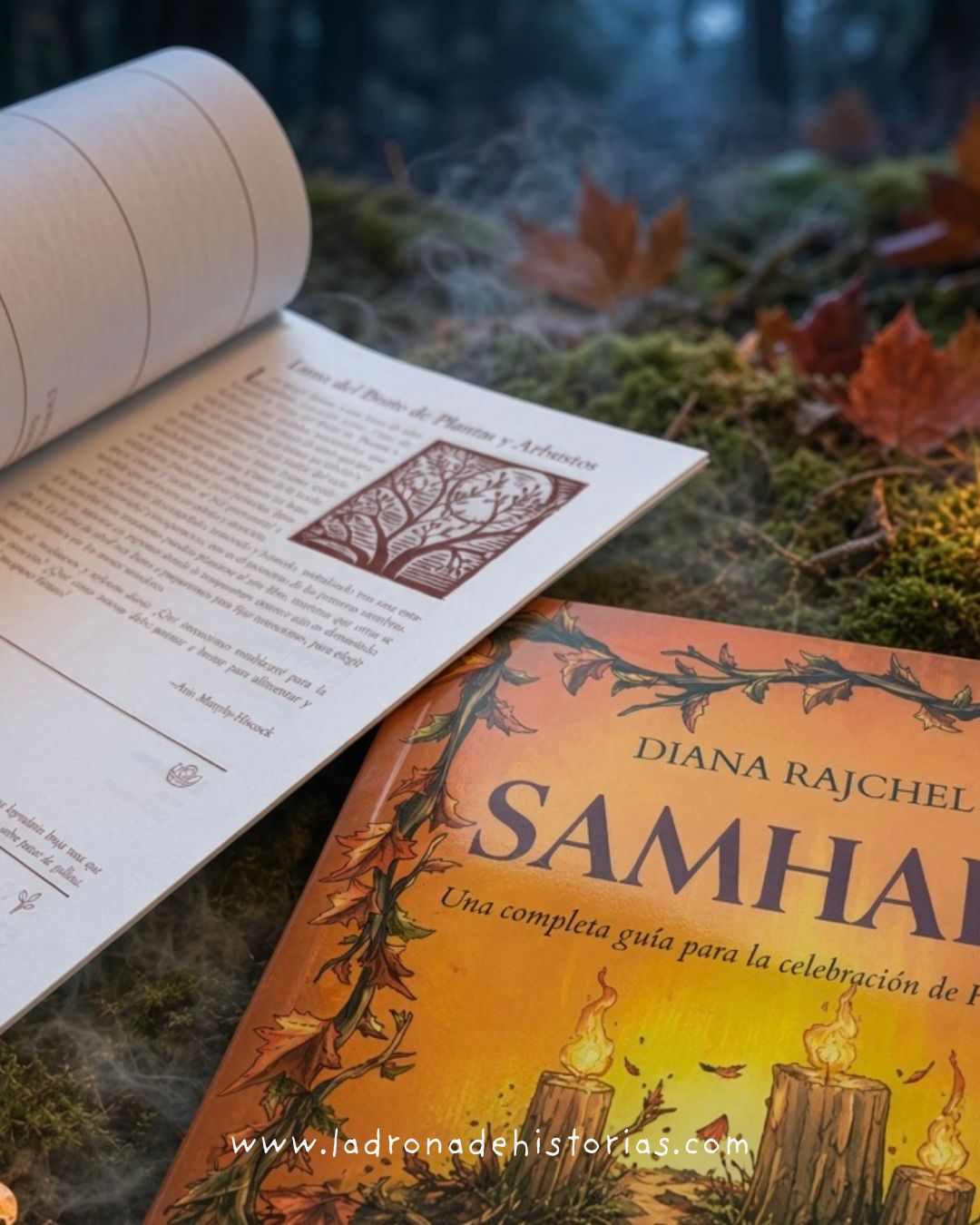 Pack Samhain - Imagen 3